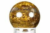 Golden Amphibolite Sphere - Western Australia #309148-1